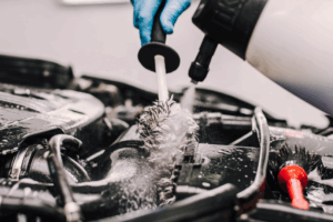 Untitled design (19)