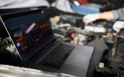 Sensorik Codierung Sensorik Codierung